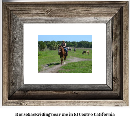 horseback riding near me in El Centro, California